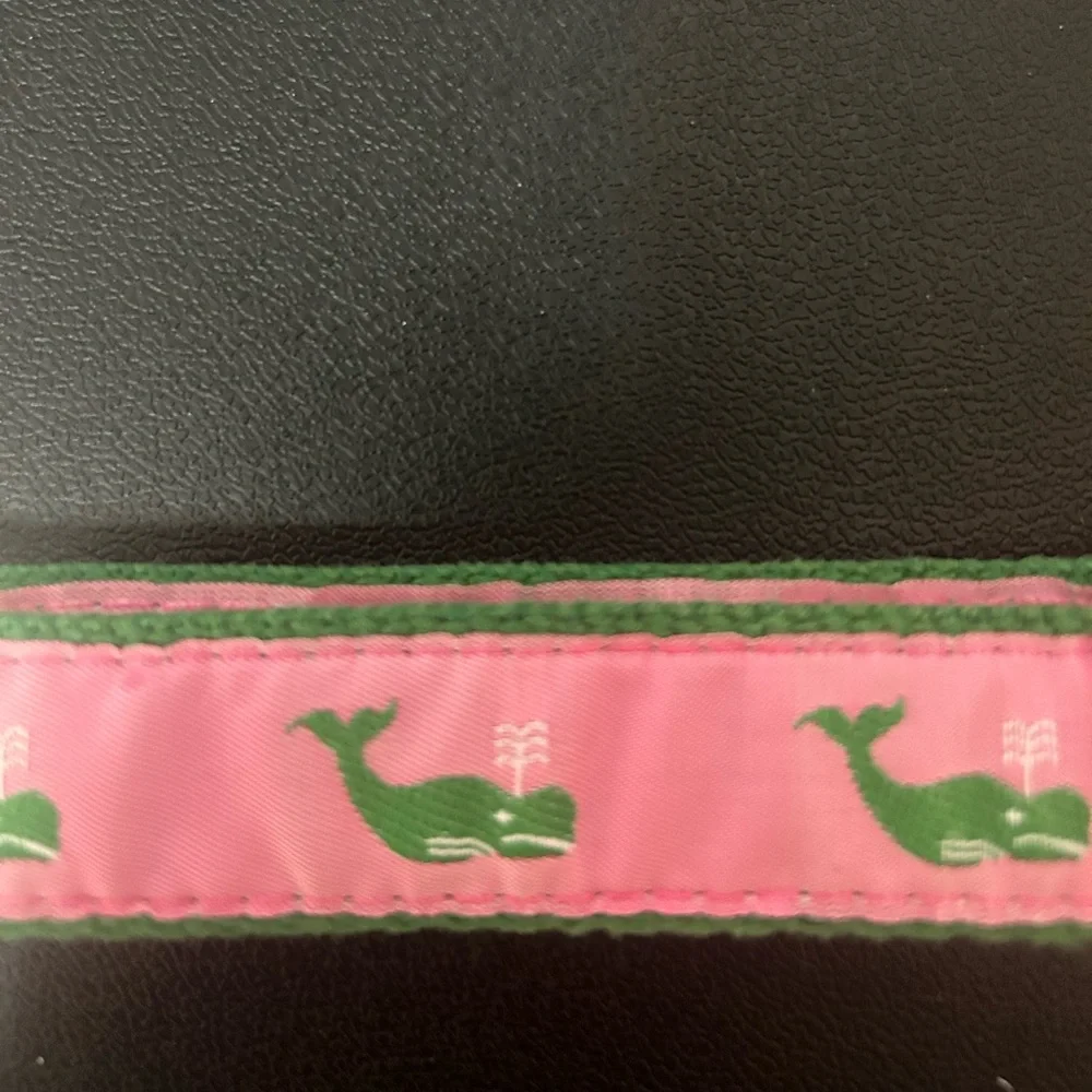 Source Unknown Kids Belt in Pink and Green with Whale Design